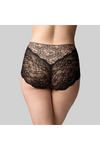 Precision Lace Full Brief