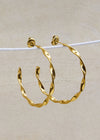 Twisted Hoops