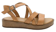  Dayna Sandal