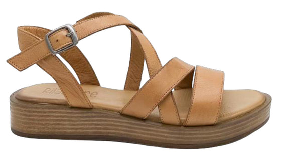 Dayna Sandal