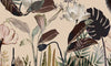 Radio Garden Kimono