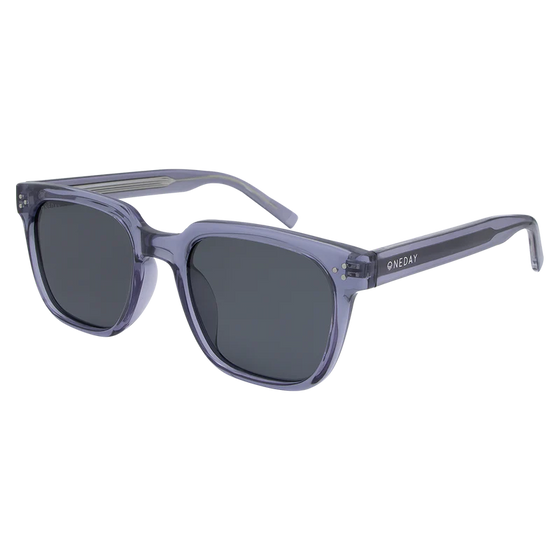 Parker Polarised Sunglasses